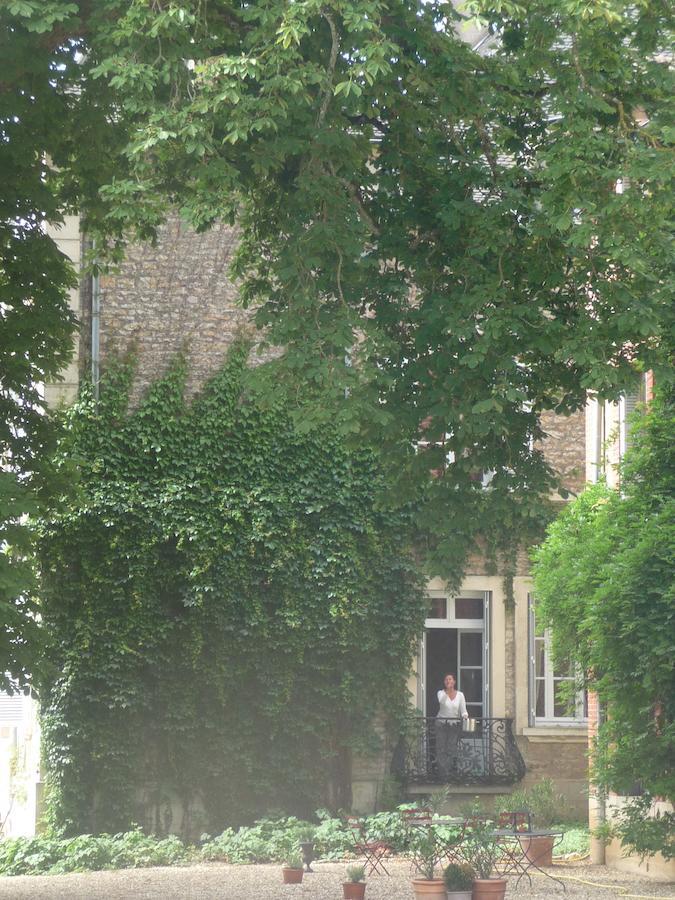 Champagny-sous-Uxelles Le Chateau מראה חיצוני תמונה